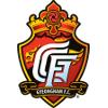庆南FC 庆南FC